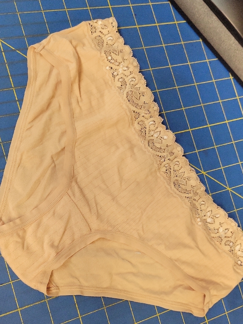 Felina Lace-Trim Bikini Panty Medium - Beige NWOT